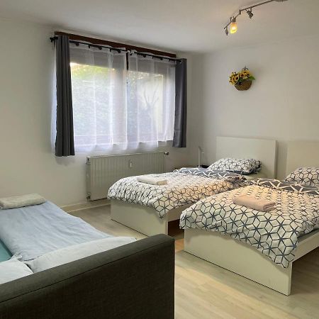 Duesseldorf Messe, 2-Bedroom Duplex Apartment With Terrace And Garden Extérieur photo